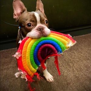 Meet your Posher, Nataly